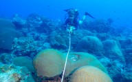 Galveston College instructor participates in Gulf marine research at Flower Garden Banks
