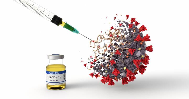 ¡ATENTOS! FDA aprueba vacunas actualizadas contra la COVID-19: no se les permitirá a mayoría de jóvenes y niños