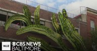 Around Town: New public art installation at Baltimore’s Charles Street garage