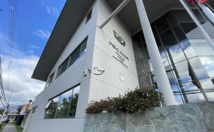 Puerto Aysén: Condenan a imputados por microtráfico y lesiones mutuas en contexto de violencia intrafamiliar y de género 