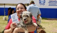 Brindan mil 846 servicios en Jornada de Atención a Mascotas