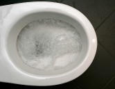 Are Toilet Seat Liners Totally Pointless?