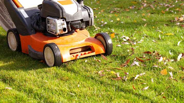 Is Mowing Your Lawn In August Really A Good Idea? Here's What To Know