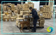 Embargan mil 224 mdp en cigarros y otras mercancías ilegales en aduanas