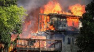 Six dogs missing after suburban house fire
