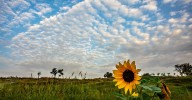 La temperatura iniciará el descenso en un miércoles con chubascos intensos