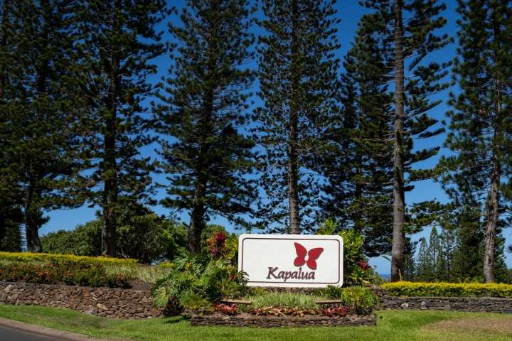 Trouble in paradise: Kapalua to close 'dying' PGA Tour course for 2 months amid Maui water dispute