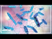 2 North Carolinians sick in multistate salmonella outbreak linked to eggs