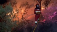 El fuego azota a España: la “emergencia climática” pone al país y al gobierno de Pedro Sánchez en jaque