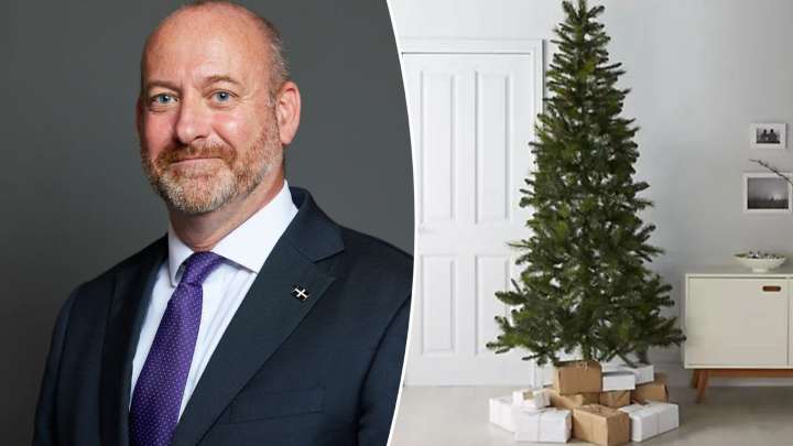 Labour MP used taxpayers' cash to buy 7ft Christmas tree and pot plants