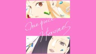 One Piece is Getting a Woman-Focused Spinoff Anime