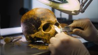 Scientists In Colombia Sound The Alarm In Bogotá: Unknown Human Lineage Detected