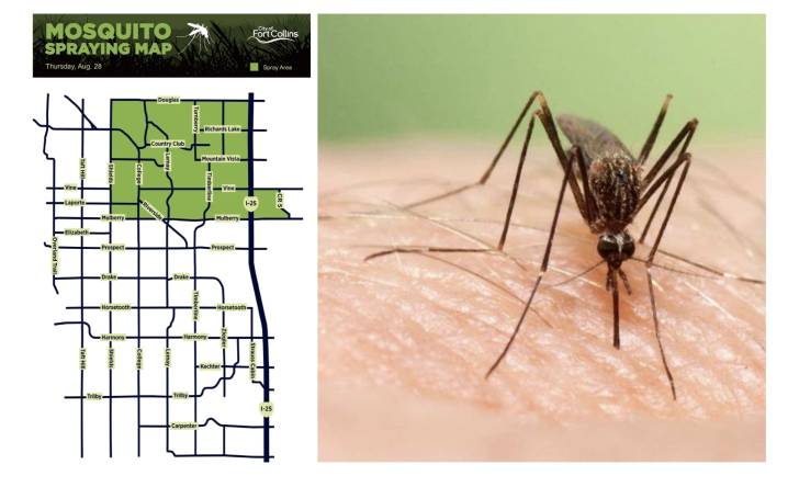 Fumigan en Fort Collins para frenar contagios del Virus del Nilo
