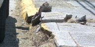 Knoxville City Council considering nearly $1 million for sidewalk replacements