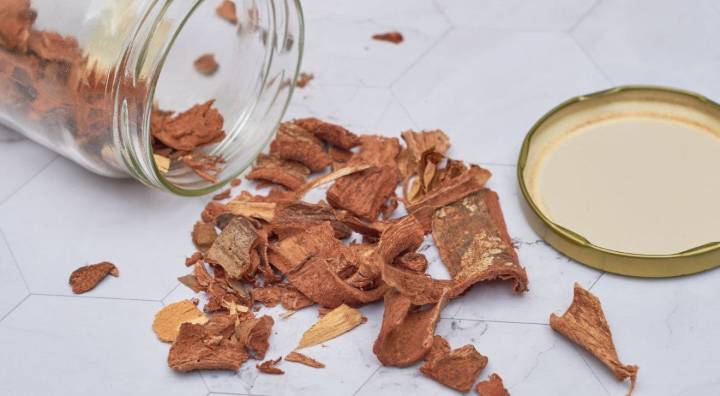 Cuachalalate contra malestares gastrointestinales