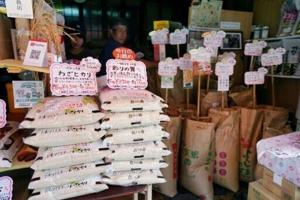 Rice prices up 91 pct year