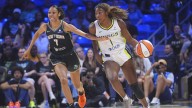 Arrestaron a un hombre en Nueva York por lanzar juguete sexual en partido de la WNBA