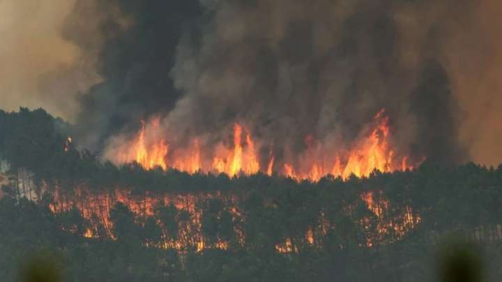 Siete incendios permanecen activos en Extremadura: 120 efectivos de la UME intervienen en el de Jarilla
