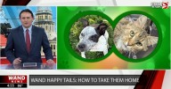 WAND's Happy Tails featuring Huckleberry Pie and Miriam