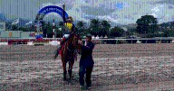 Datos de hoy La Rinconada, 31 de agosto: pronósticos hípicos de las carreras de caballos, favoritos de la cátedra R33 y traqueos del INH