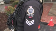 Robbery at Semiahmoo Mall in Surrey