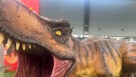 Parque Jurásico en Valladolid: un T-Rex toma este centro comercial