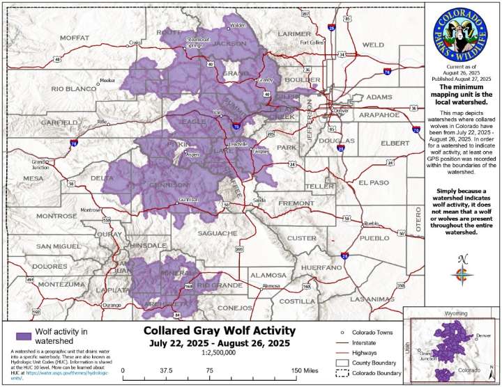 Colorado wolf map shows August locations of packs and pups