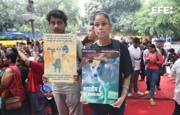El Supremo indio da un paso atrás y no encerrará a los perros callejeros de Nueva Delhi