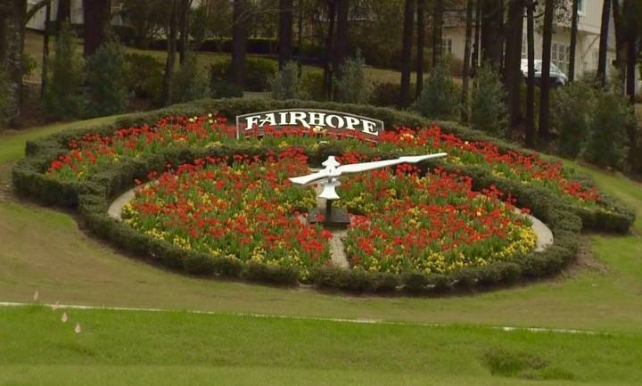 Fairhope Municipal Election 2025: City Council Candidates