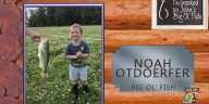 John’s Big Ol’ Fish: Sunday, August 31 2025