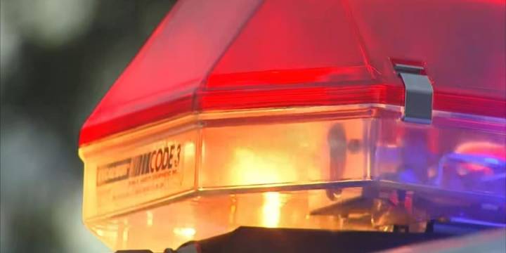 Driver killed in Goshen Township crash identified
