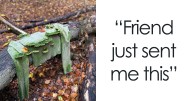 46 Times People Found Such Amazing Free Goods In The Wild, They Just Had To Share It
