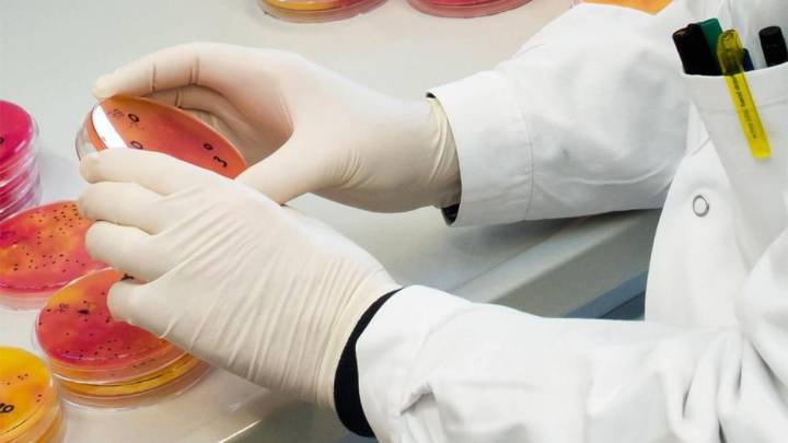 Más del 70 % de los genes resistentes a los antibióticos están en nuestro sistema alimentario