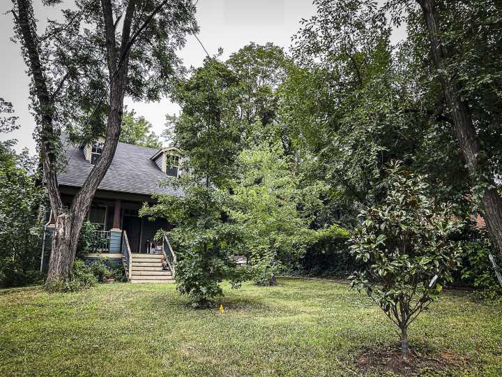 As Development Revs Up in Southeast, One Anacostia Native Is Protecting Her Family’s Land and the Trees That Make It Home