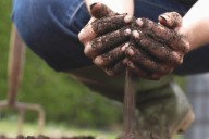 Ma Matow Sakow Community Planting Day taking place this weekend