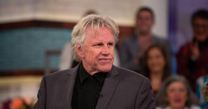 Gary Busey pleads guilty to sex offense at Monster-Mania Convention in Cherry Hill, New Jersey