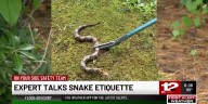 Widlife expert talks snake etiquette