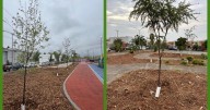 Manejo Ecológico y Procesamiento de Desechos en Nuevo León; ¿qué hace el Simeprode?