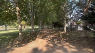 El héroe del parque de los Milagros de Mérida: corre detrás de dos ladrones y recupera el bolso de una mujer