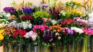 DIY A Floral Arrangement That Looks So High End Using Affordable Dollar Tree Supplies