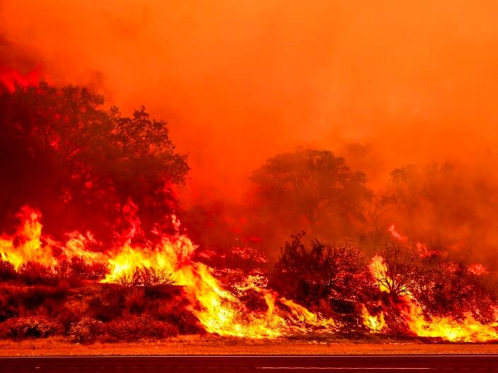 The Trump administration wants to build more roads through national forests