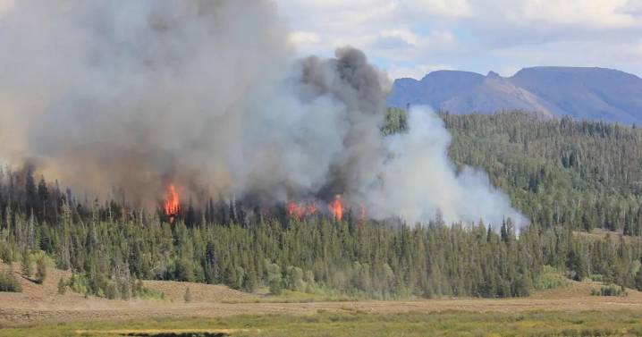Western Wyoming fire explodes to 600 acres, closing Green River Lakes Road and prompting evacuations