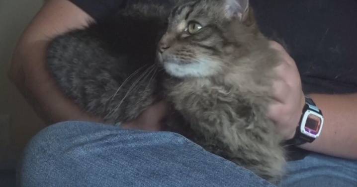 University of Northern Colorado students and their pets return to residence halls