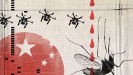 How China is battling the chikungunya virus