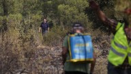 Muere un voluntario que trabajada en la extinción de los incendios forestales que asolan Castilla y León