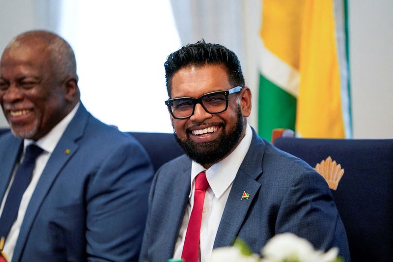 Guyana's Ali seeks another term amid oil bonanza