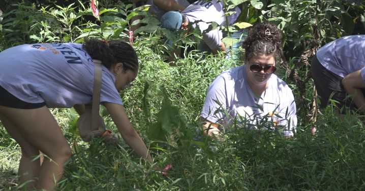 Batten School holds day of service