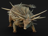 Esqueleto desproporcionado y un collar de púas: el hallazgo del anquilosaurio más viejo del mundo desconcierta a la ciencia