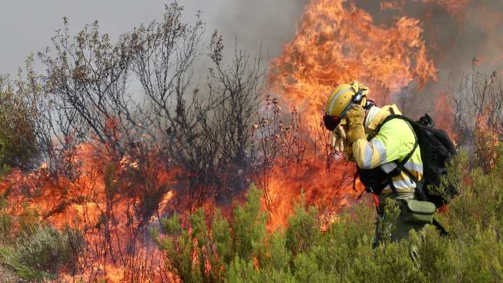 Detienen a un hombre por haber provocado el incendio de Puercas (Zamora)