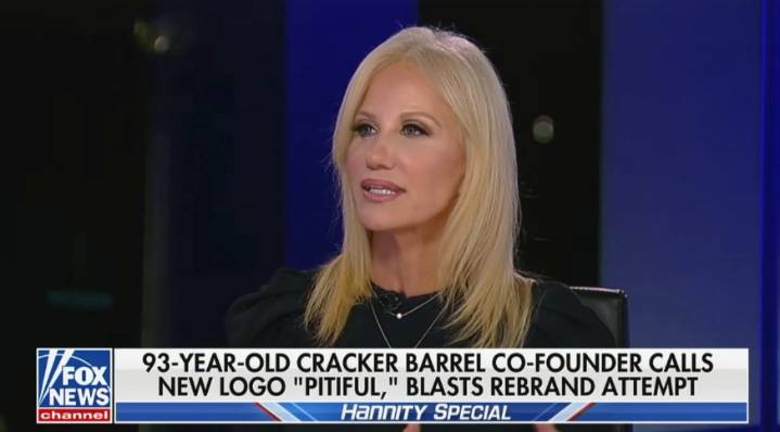 Kellyanne Conway Gleefully Says Trump Is ‘Taking Control’ of Institutions